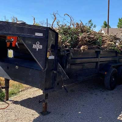 A large black trailer loaded with branches and debris is parked on a gravel path.